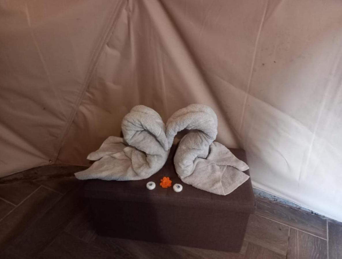 Glamping Monteverde Exteriör bild