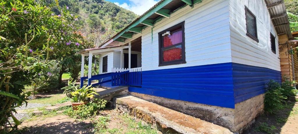 Glamping Monteverde Exteriör bild