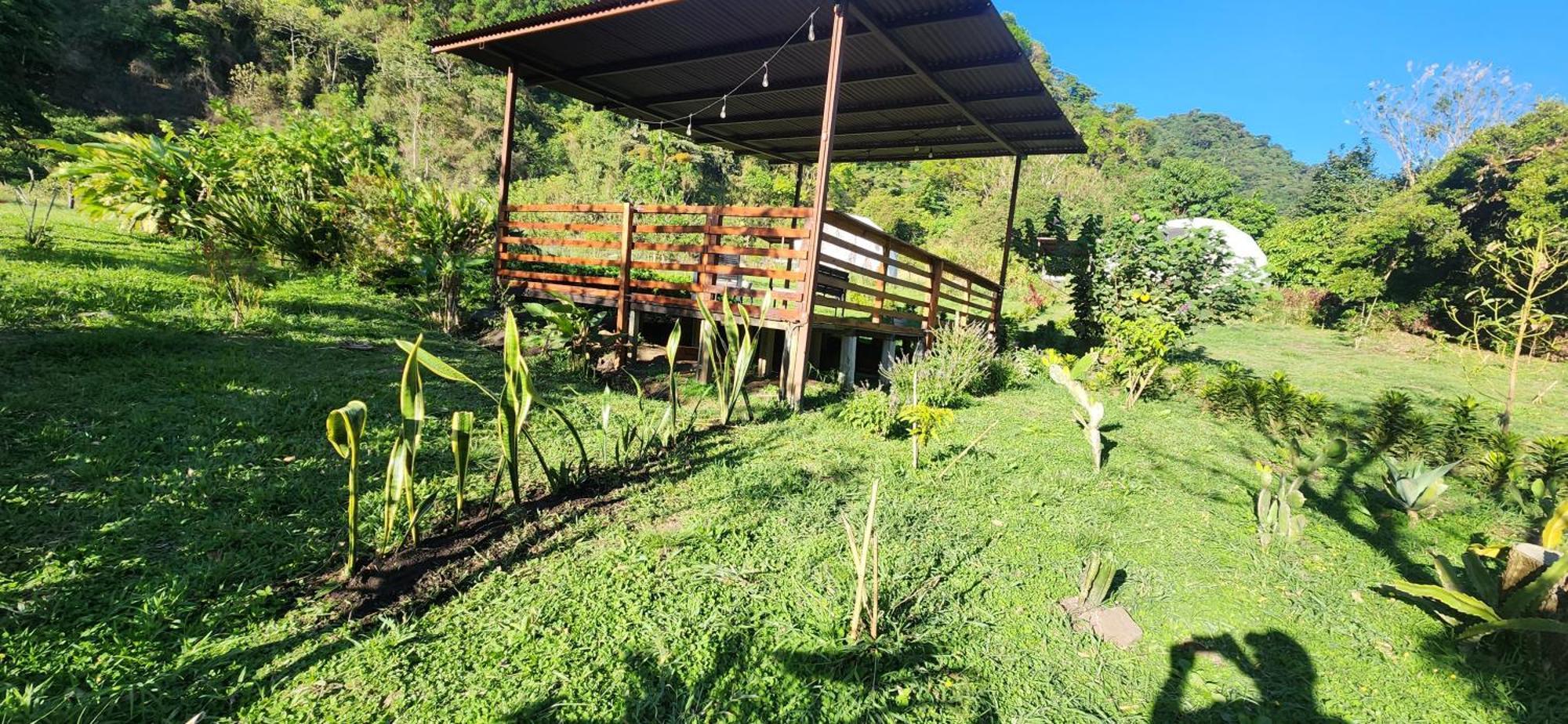 Glamping Monteverde Exteriör bild