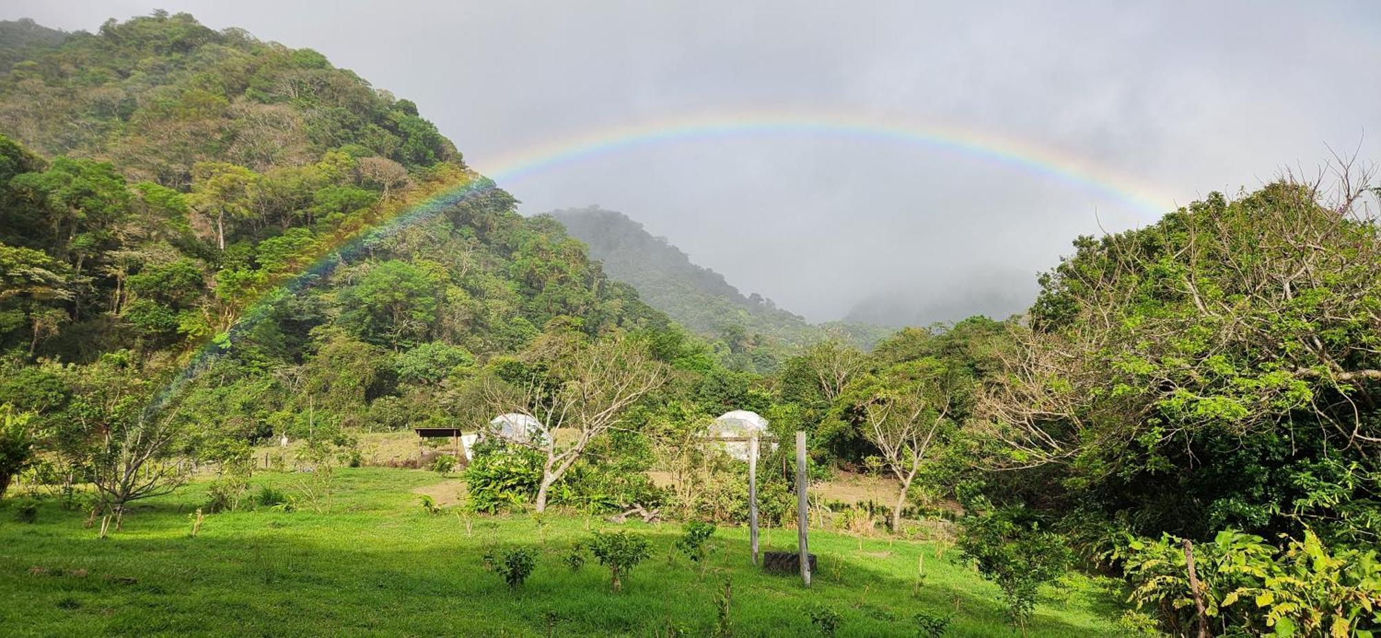 Glamping Monteverde Exteriör bild