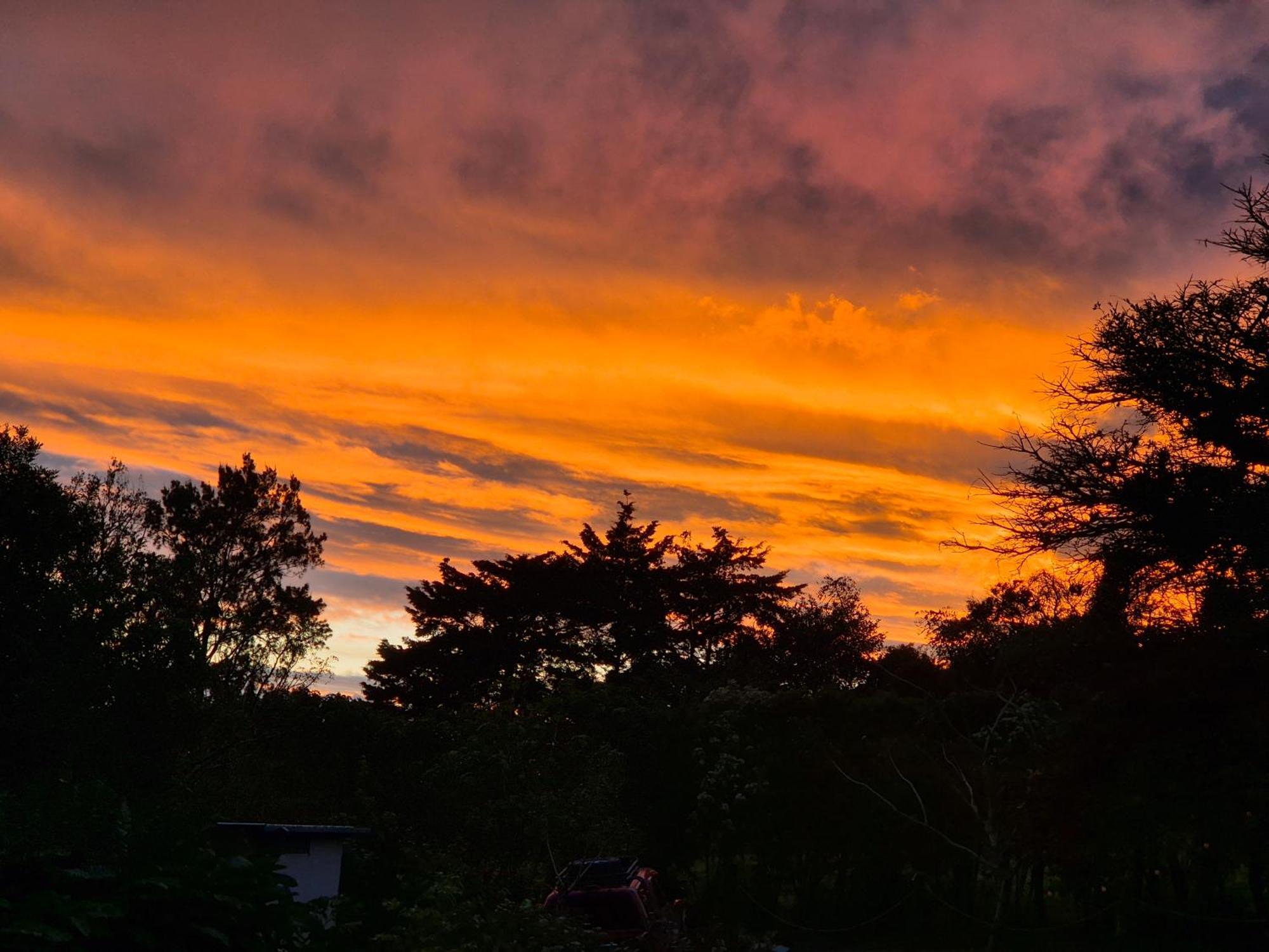 Glamping Monteverde Exteriör bild