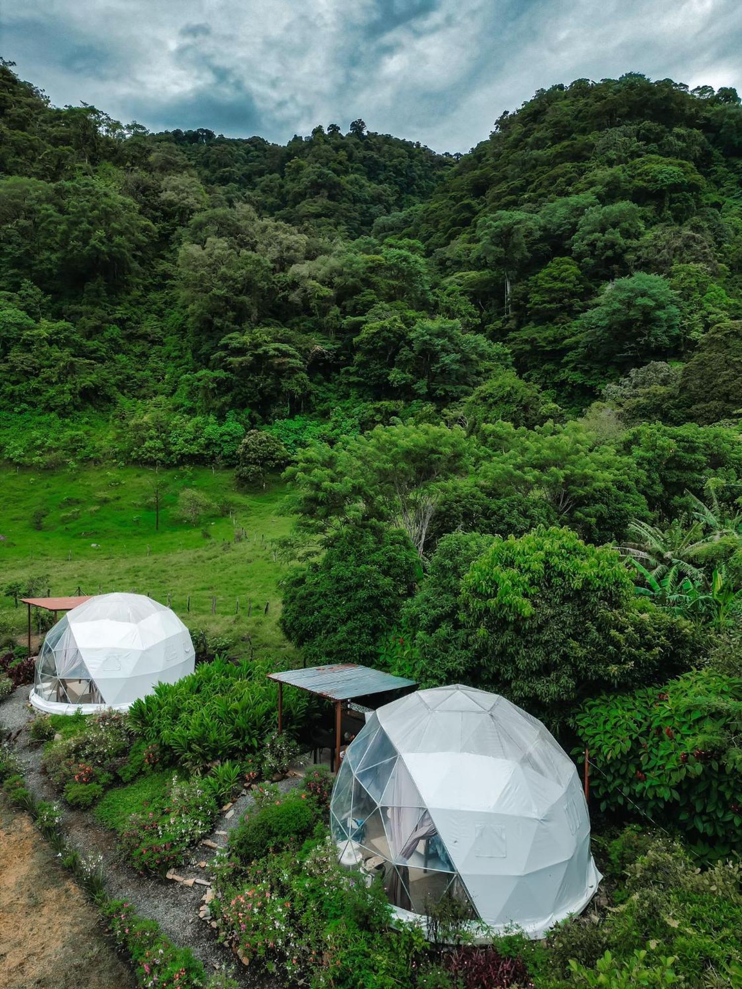 Glamping Monteverde Exteriör bild
