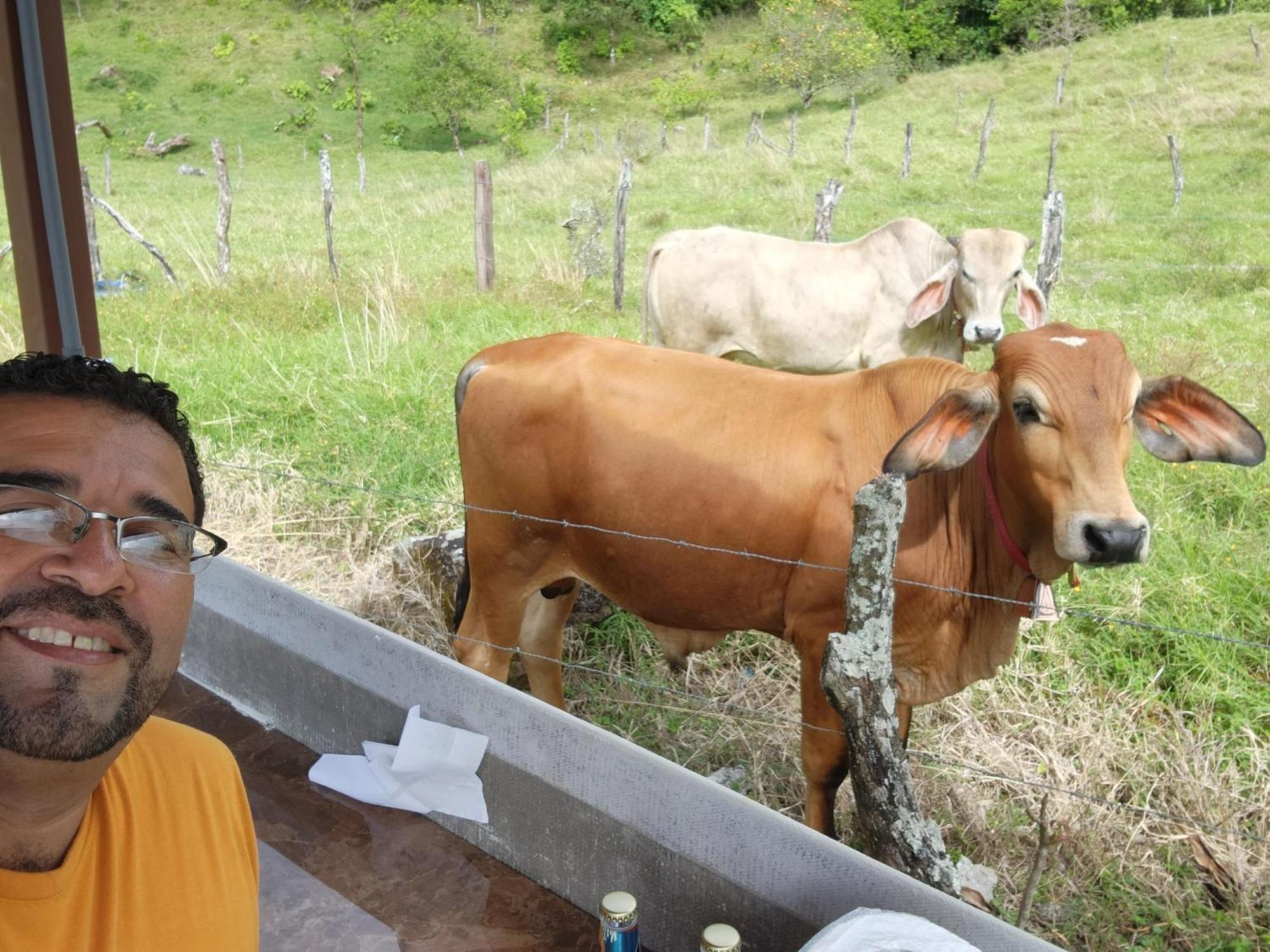 Glamping Monteverde Exteriör bild