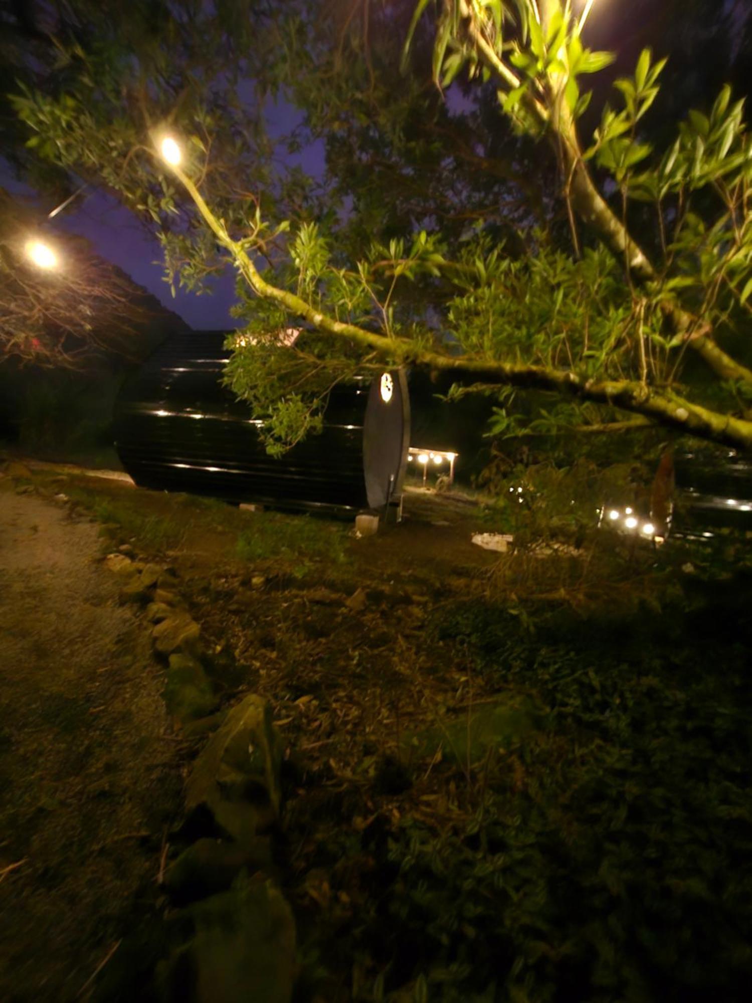 Glamping Monteverde Exteriör bild