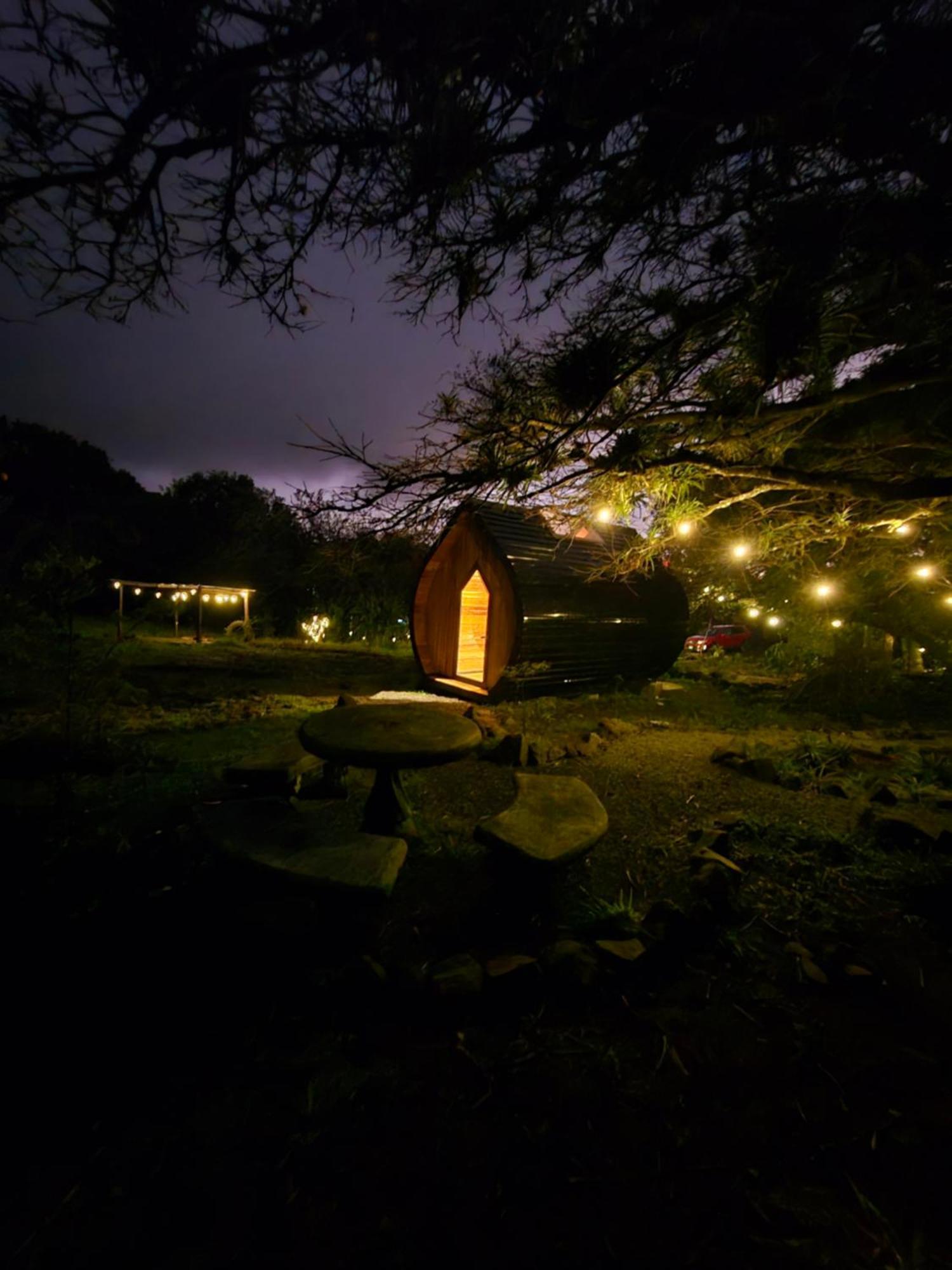 Glamping Monteverde Exteriör bild