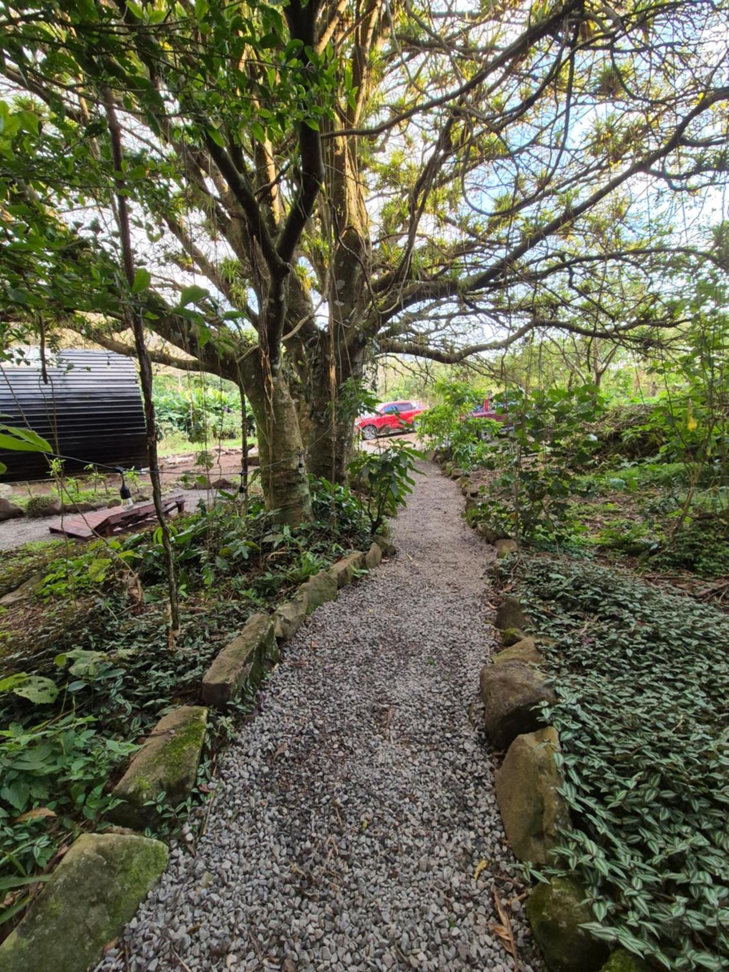 Glamping Monteverde Exteriör bild