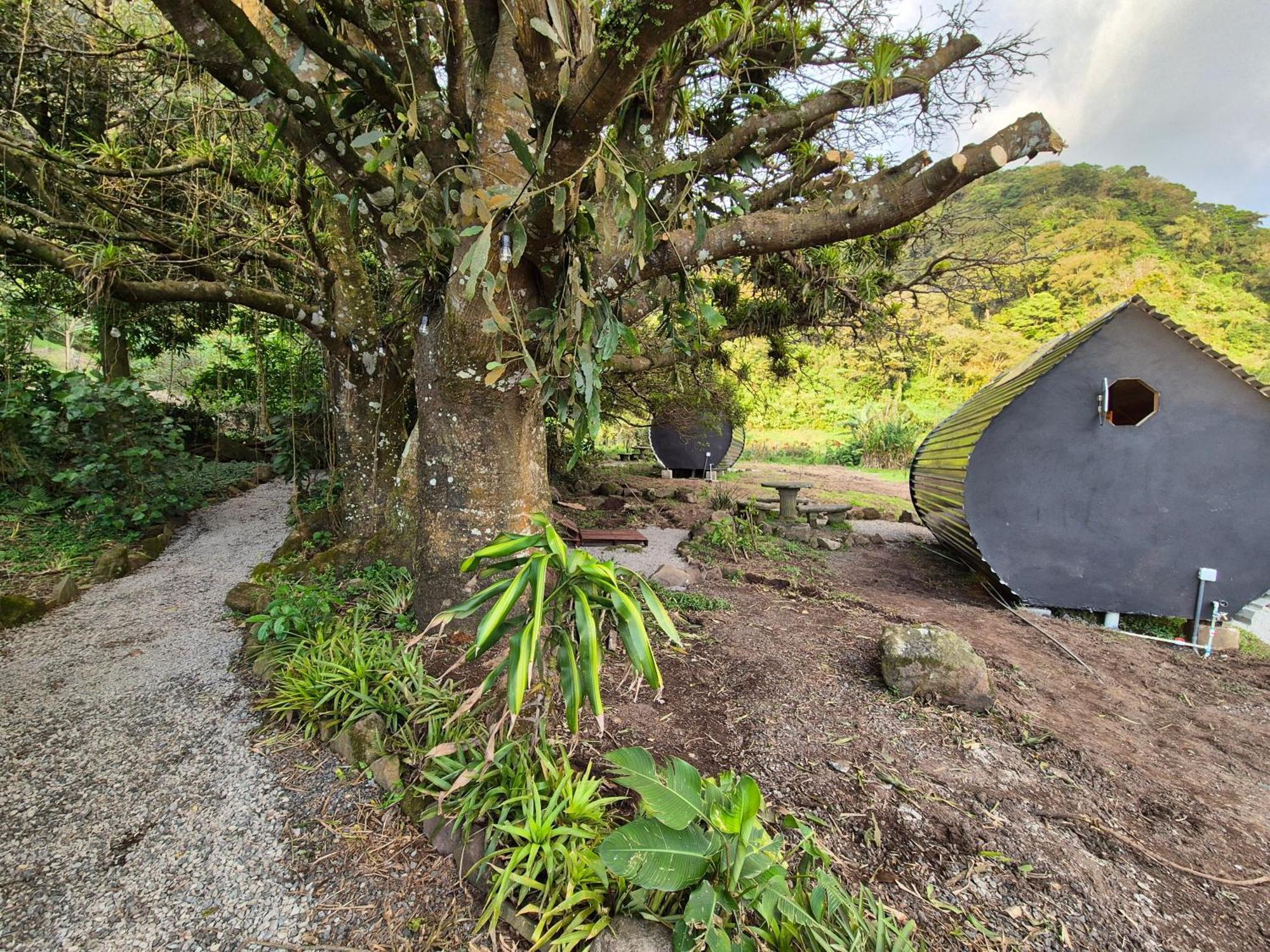 Glamping Monteverde Exteriör bild